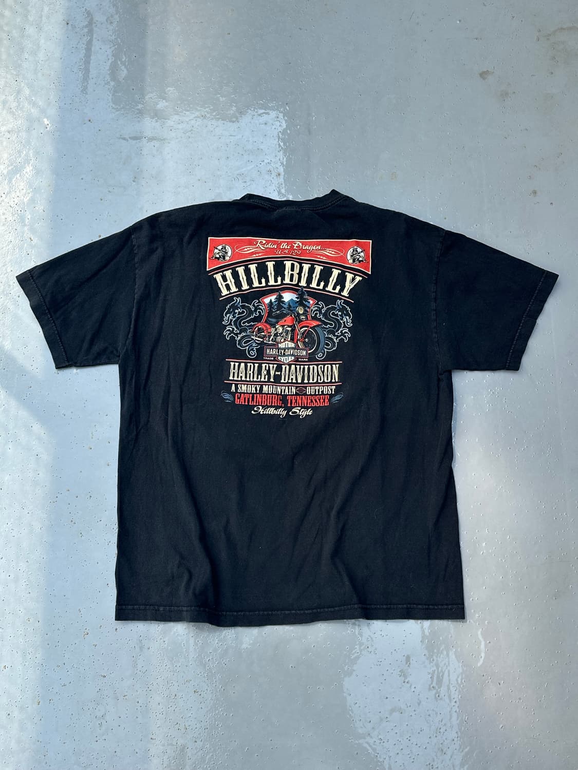 [할리데이비슨] •Vintage Hillbilly Tee 상품이미지3