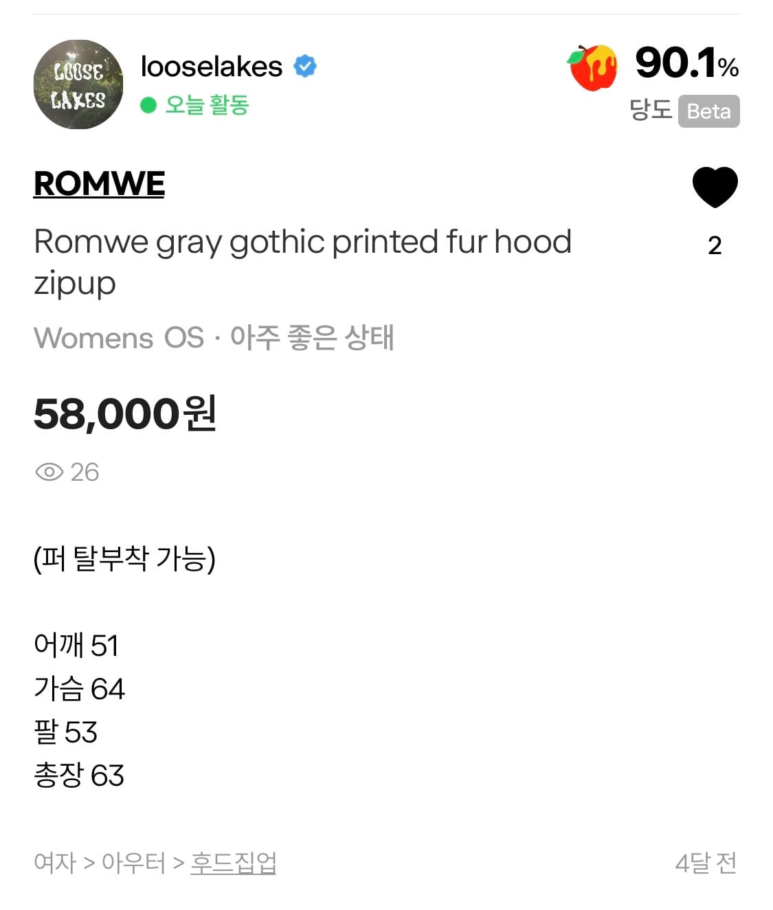 루즈레이크 Romwe 빈티지 후드집업 상품이미지6