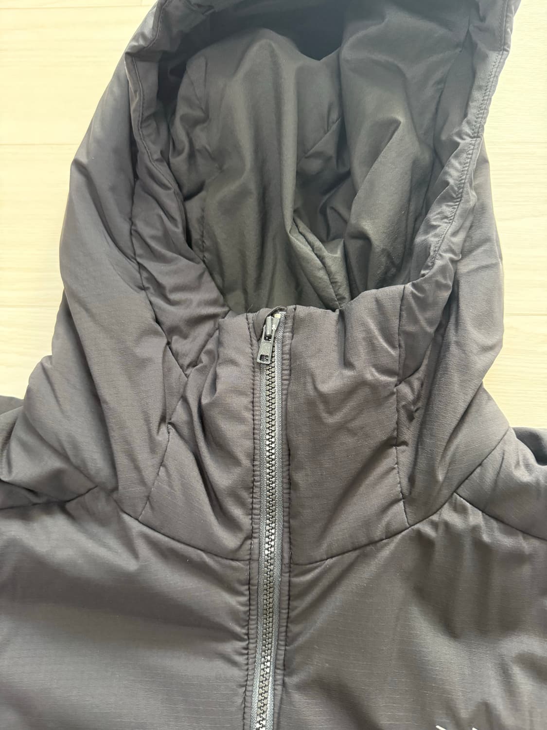 아크테릭스 아톰 ar L size 상품이미지3