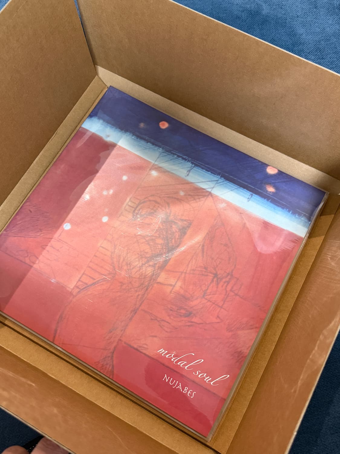 Nujanes 누자베스 모달소울 Modal Soul LP 바이닐 상품이미지1