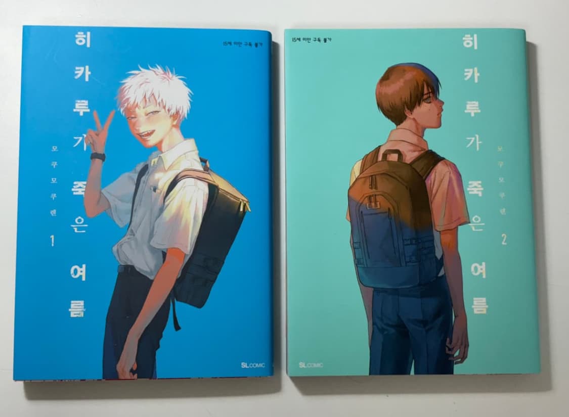 히카루가 죽은 여름 상품이미지1