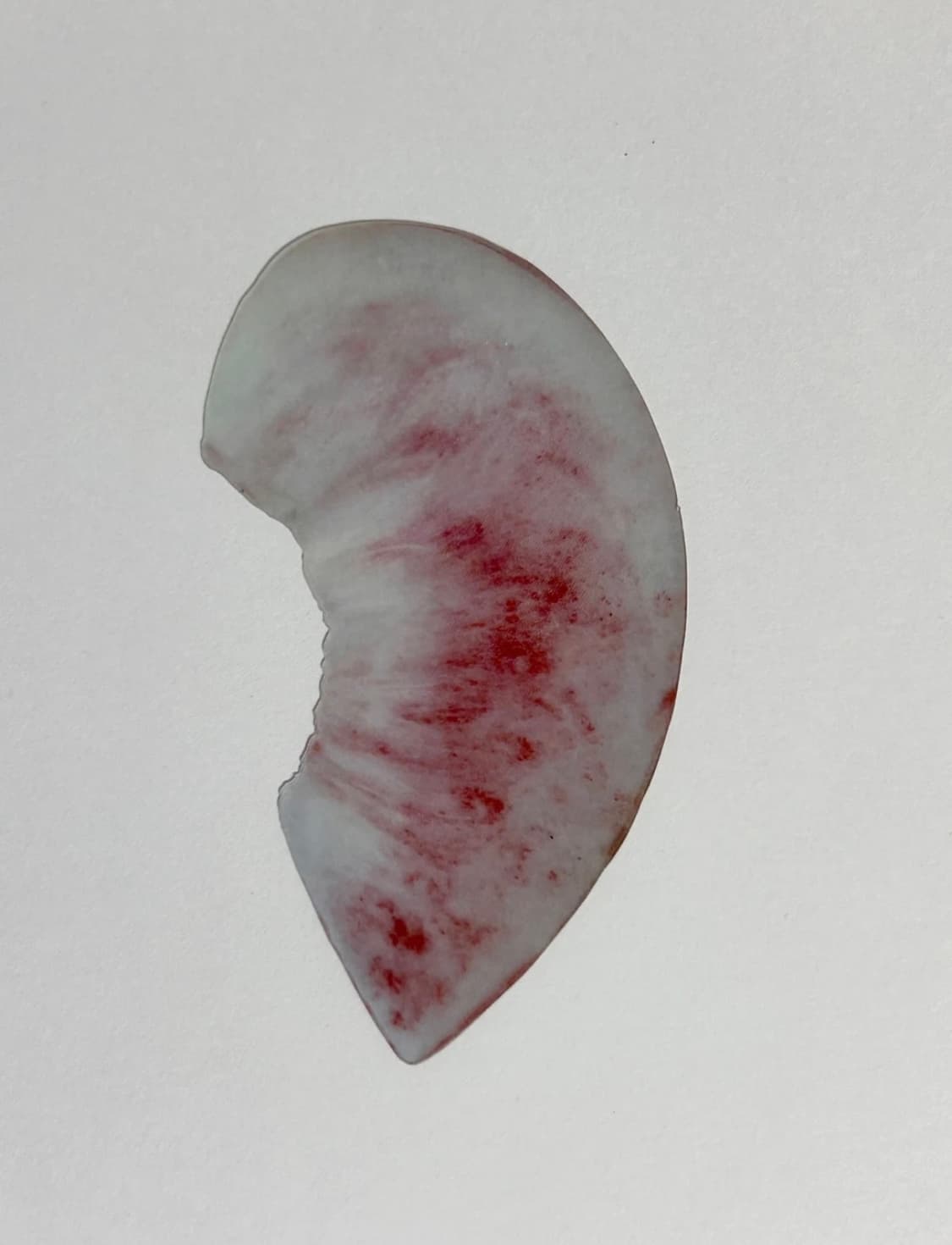 이옥토 백도 책갈피 상품이미지2