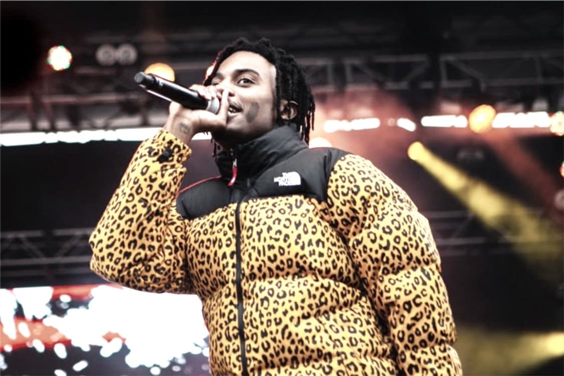 카티 노스페이스 레오파드 구스다운 패딩 사이즈 L 상품이미지1