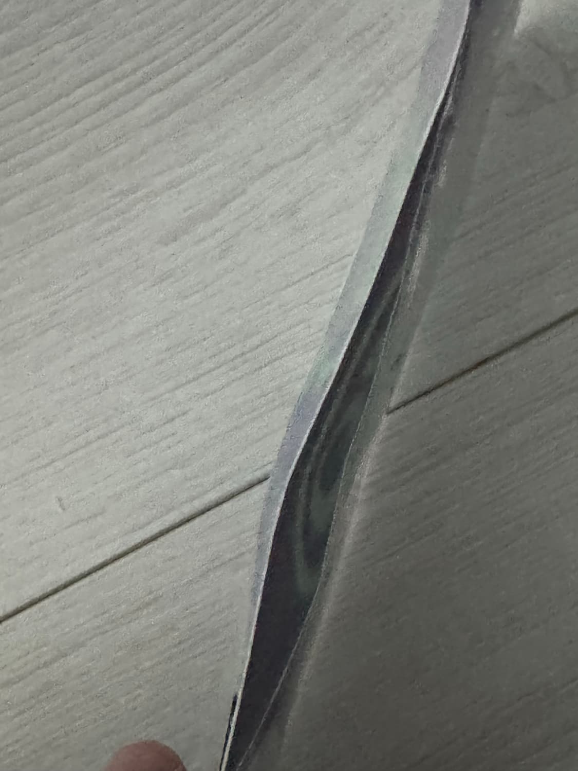 해칭룸 드래곤 길들이기 키링 상품이미지4