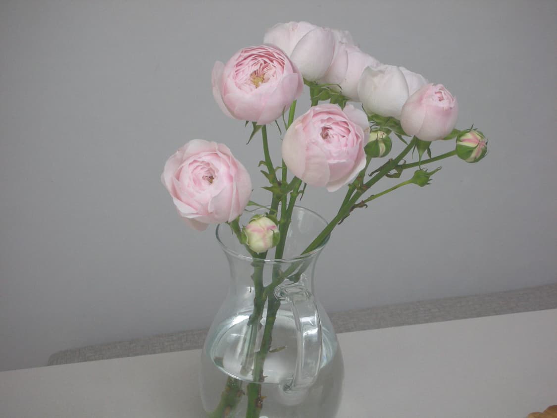 디카 니콘 쿨픽스 s8 카메라 판매합니다 상품이미지6