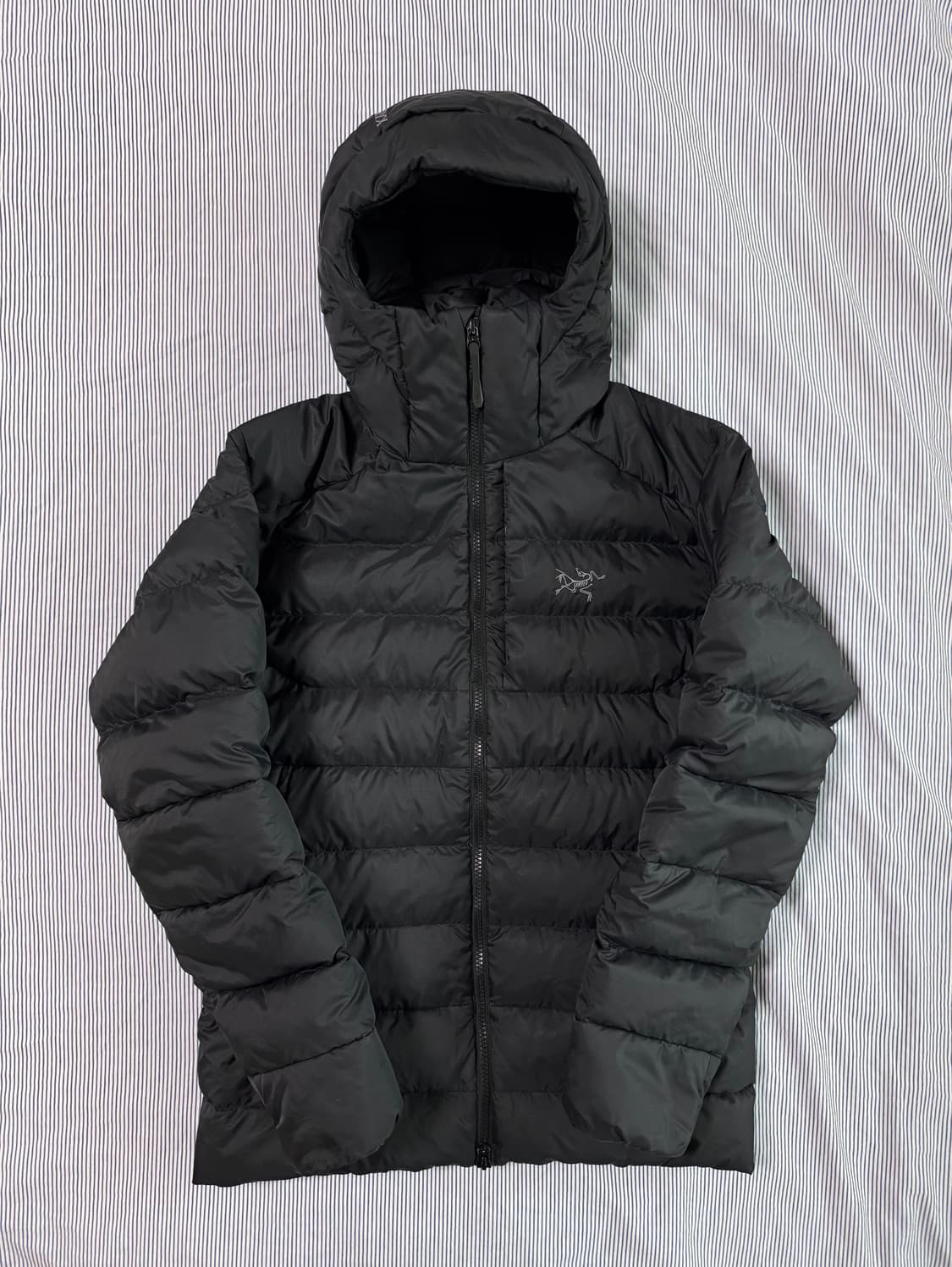 아크테릭스 토륨 후디 블랙  상품이미지1