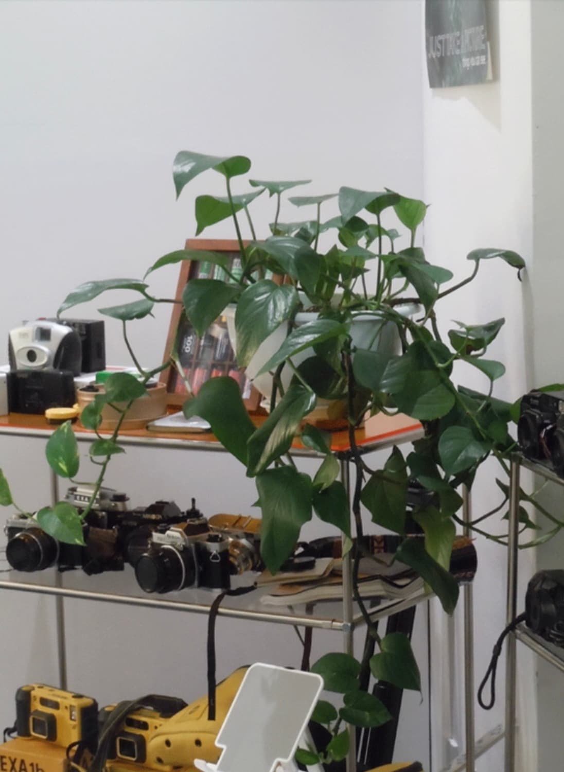 니콘 쿨픽스 S6000 상품이미지10