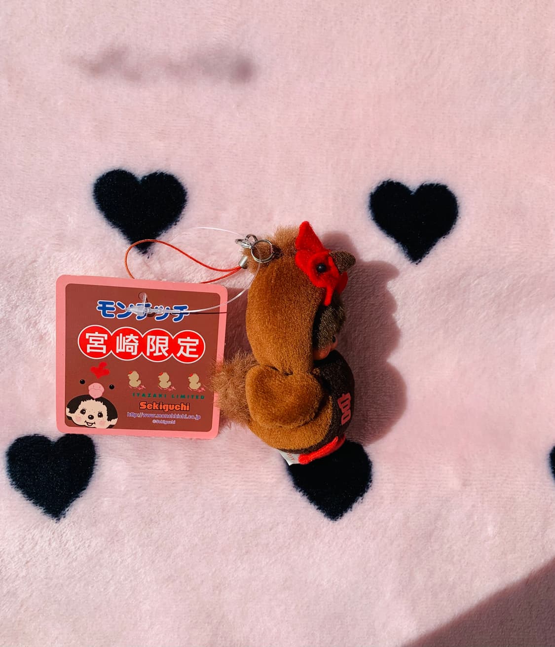 🐔초미니 나고야한정 코친 몬치치 키체인 상품이미지5