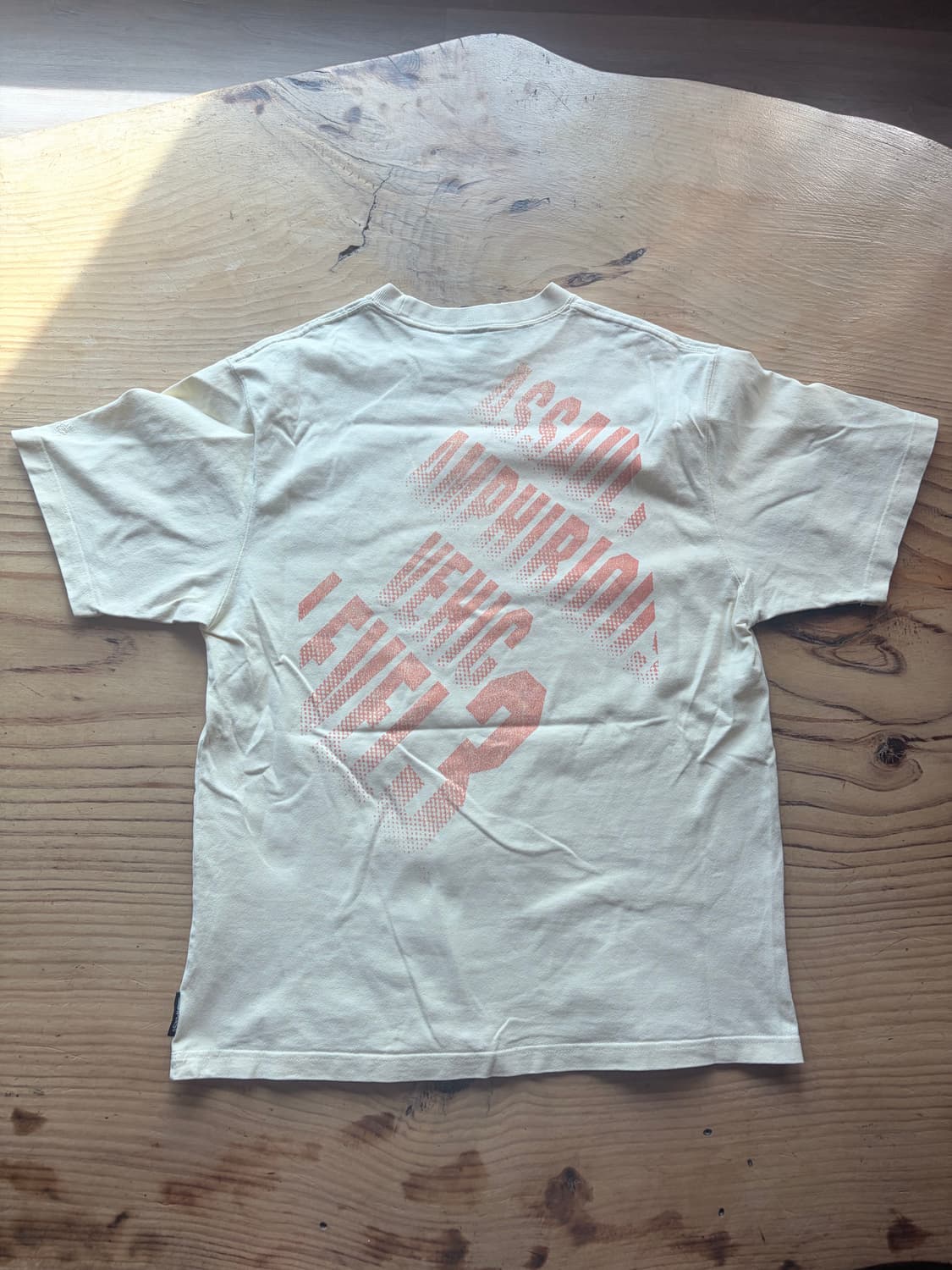 (ASNADISPEC) 아이보리 빈티지 그래픽 티셔츠 상품이미지3