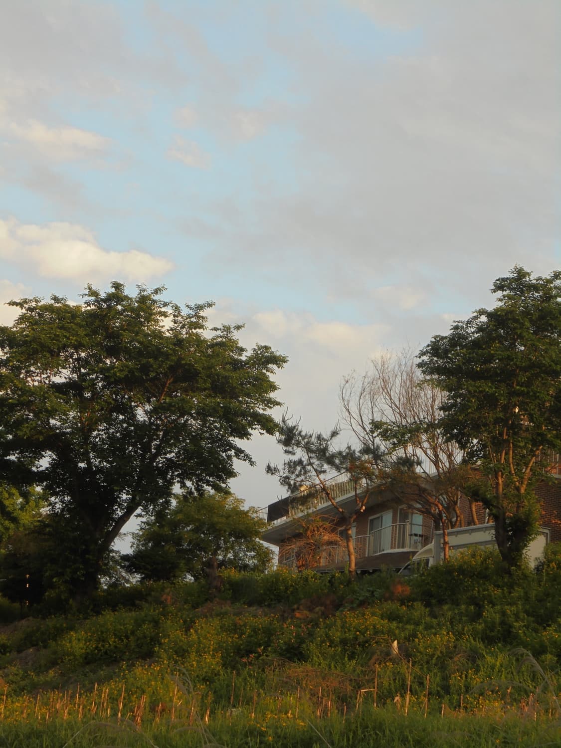 소니 사이버샷 DSC-W810 디카 디지털 카메라 (작례 포함) 상품이미지5