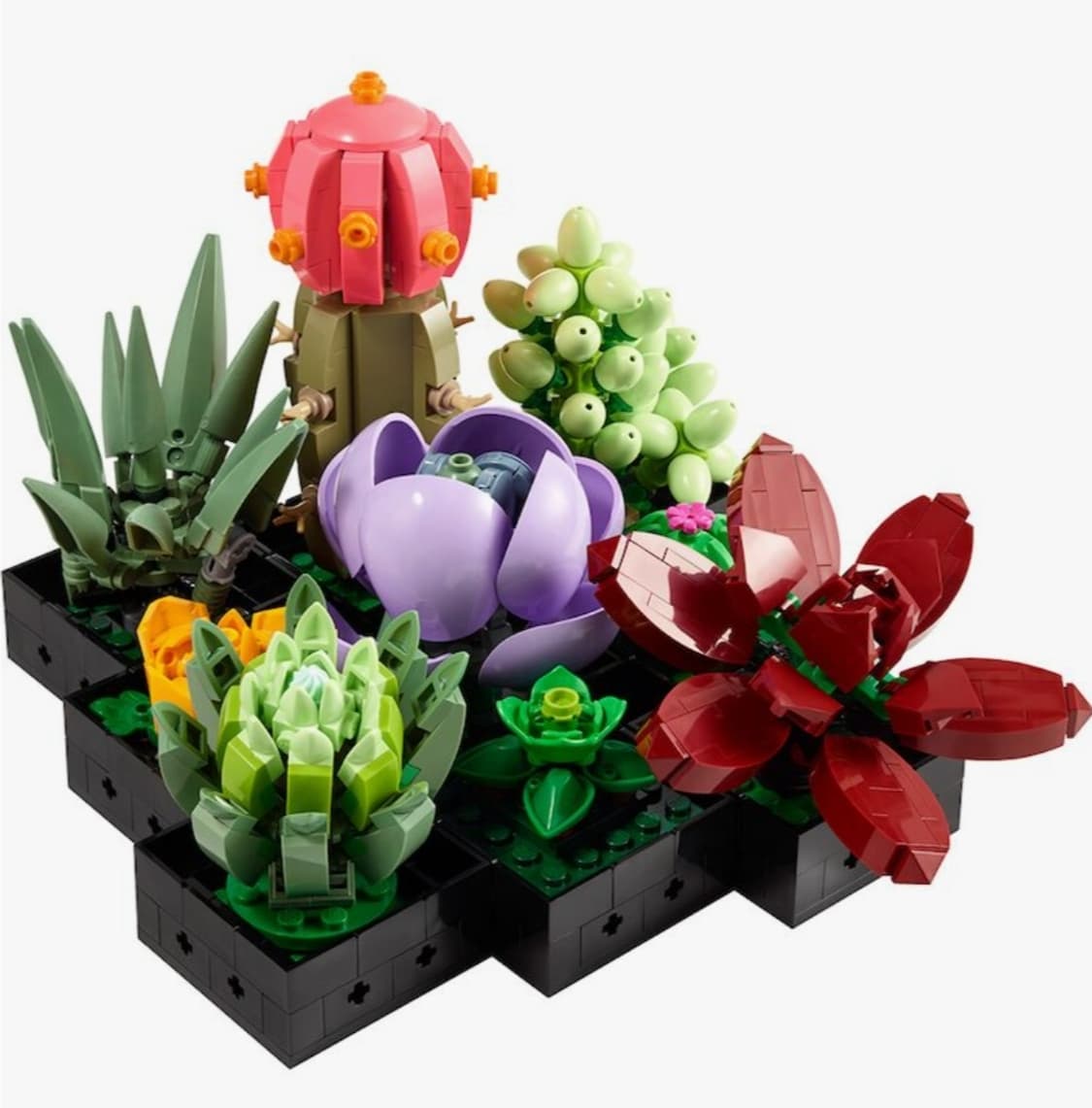 Lego 레고 아이콘 10309 다육식물 상품이미지2