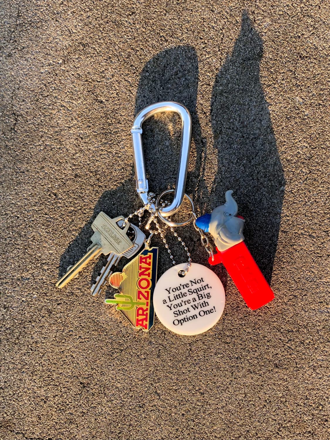 🎁Someone's Keyring #331 상품이미지1