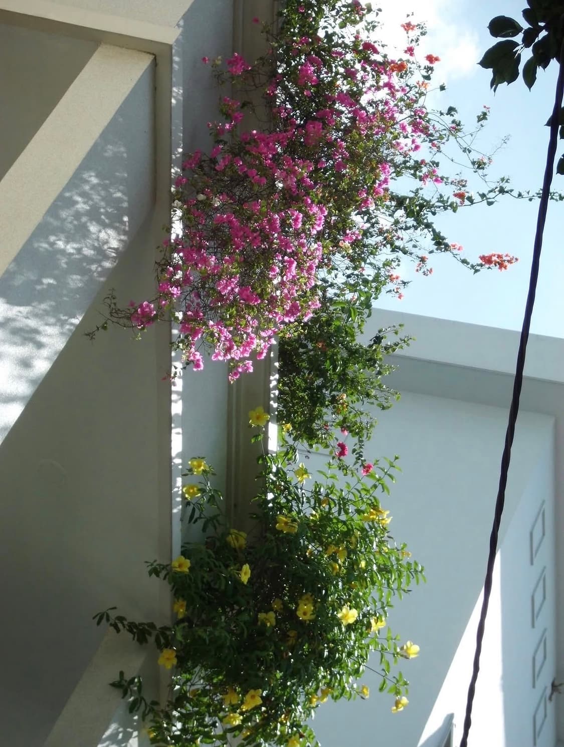 카시오 엑실림 zs10 디지털카메라 상품이미지10