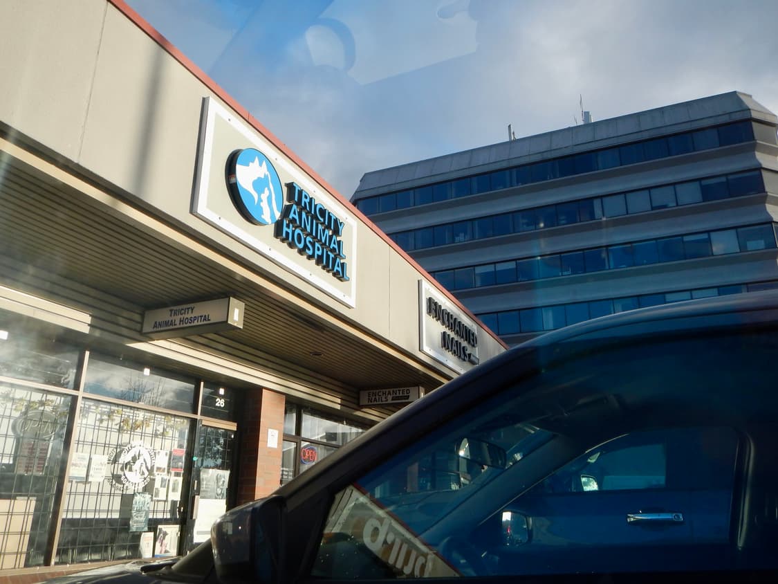 준민트급) 니콘 쿨픽스 AW110 Nikon Coolpix 디카 풀박스 상품이미지7