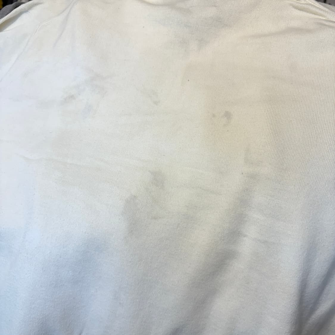 폴로 정품 화이트 피마 코튼 카라 니트  상품이미지9