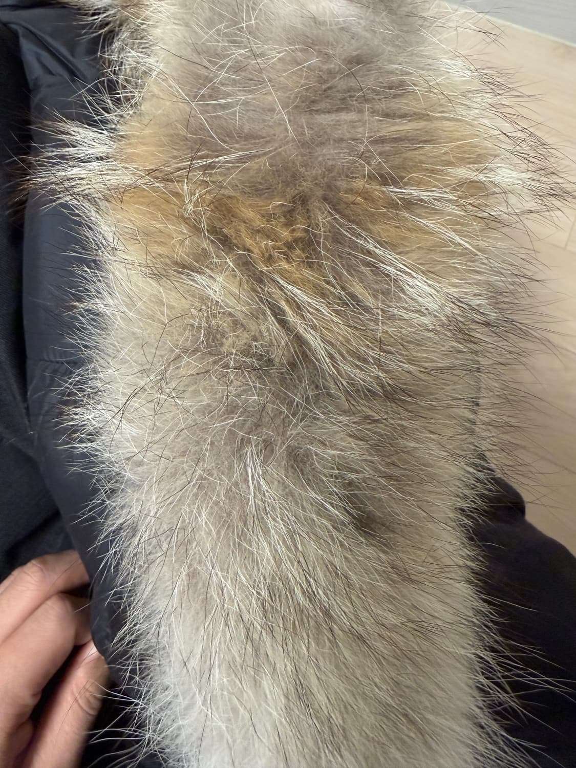 노비스 남성 카르텔 패딩 M/M 블랙 상품이미지5