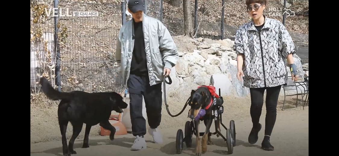 송지오옴므 컬렉션 카라리스 더블넥 점퍼 블랙 상품이미지2