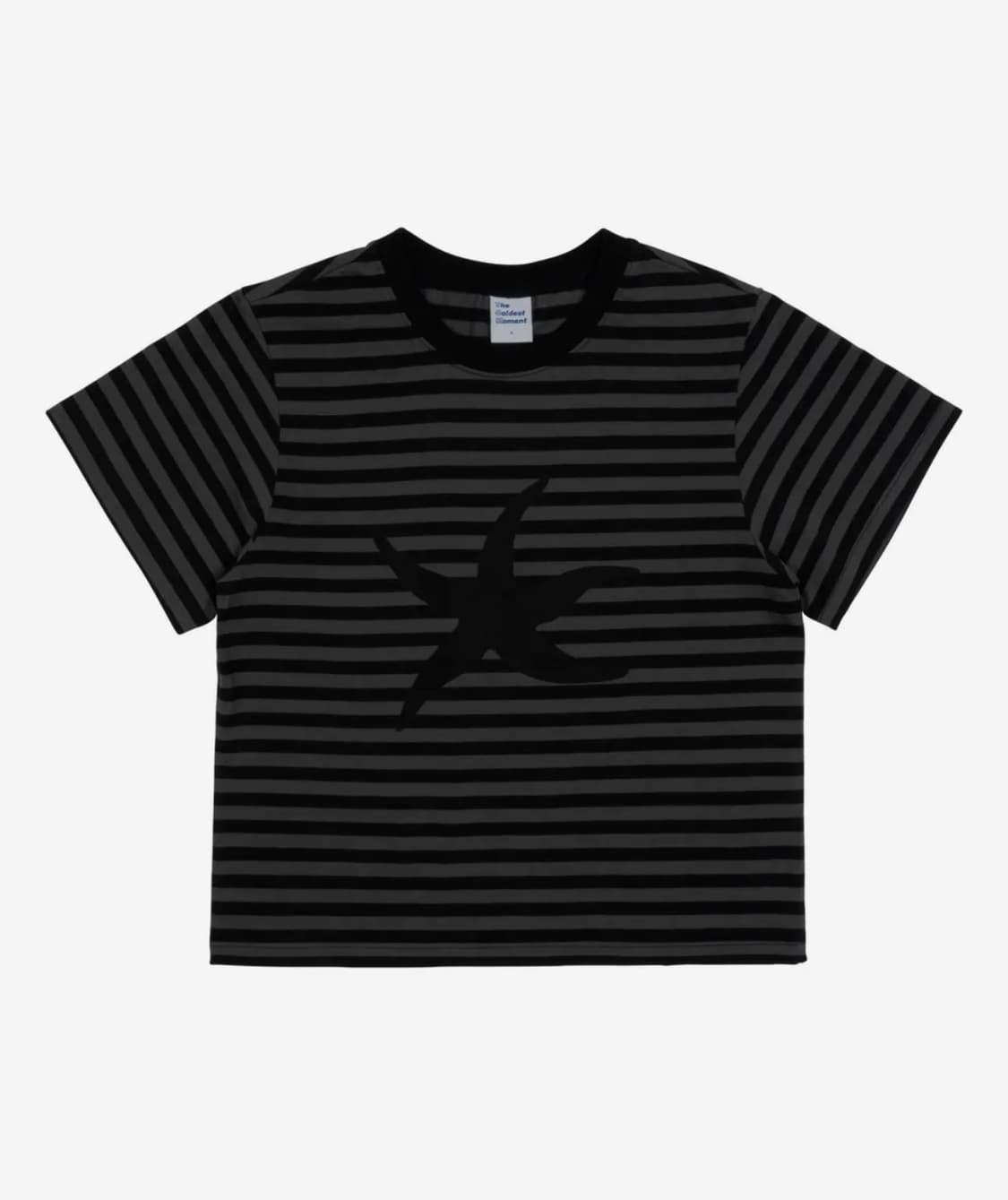 더콜디스크모먼트 TCM starfish stripe T(black) 상품이미지1