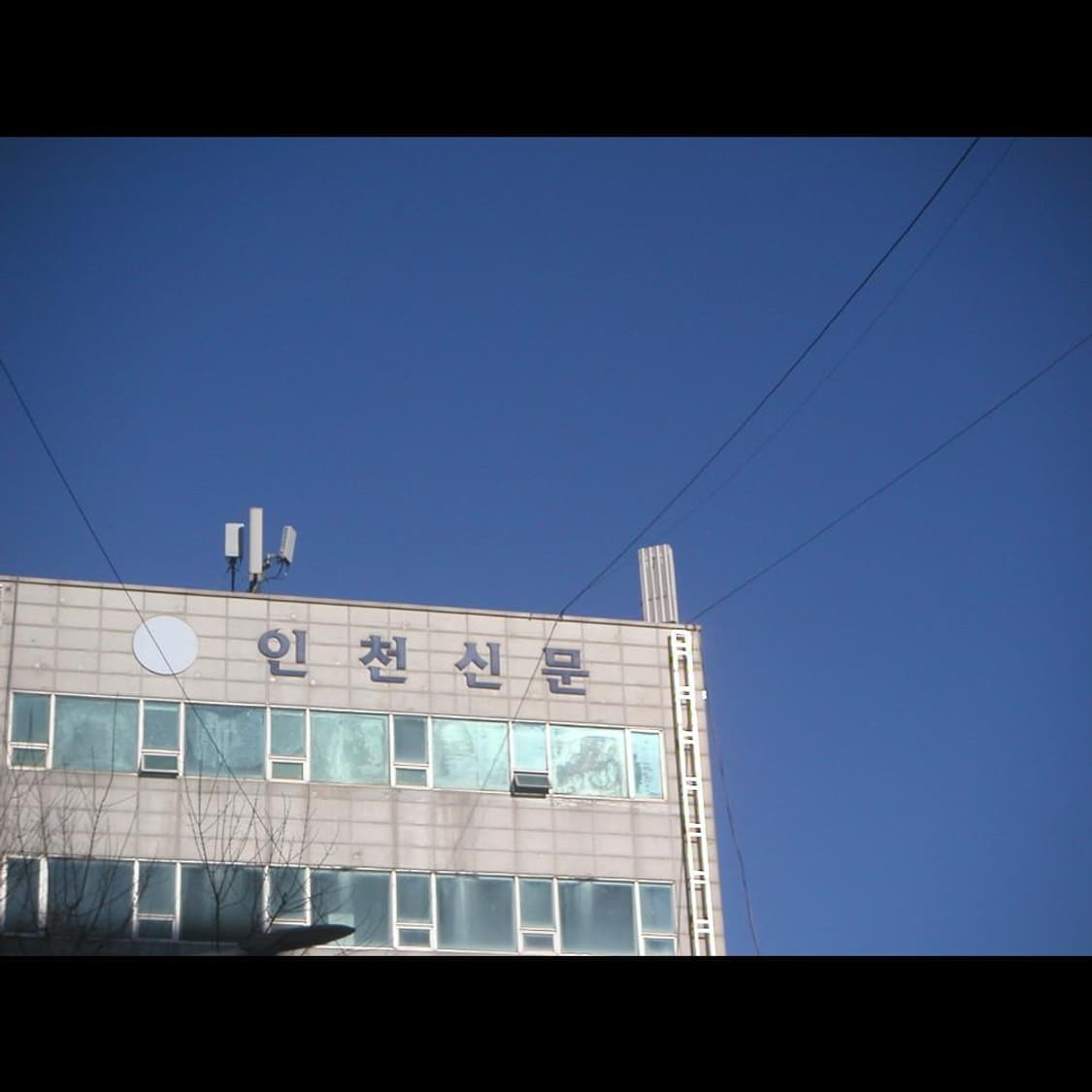 작례⭕️ 미놀타 디미지 디마지 X 무광실버 ⬜ 빈티지 디카 디지털카메라 상품이미지8