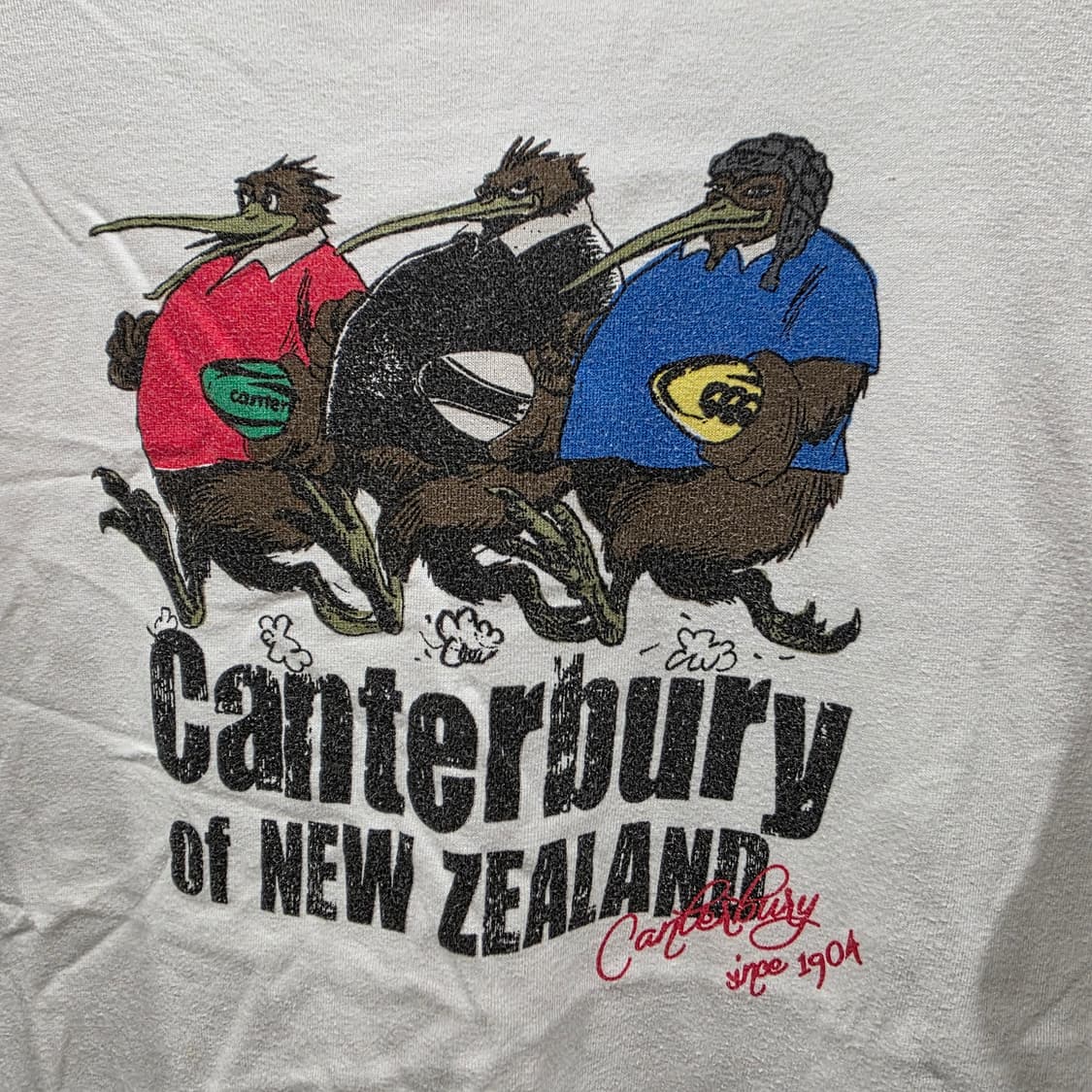 켄터베리 뉴질랜드 그래픽 반팔 티셔츠 상품이미지2
