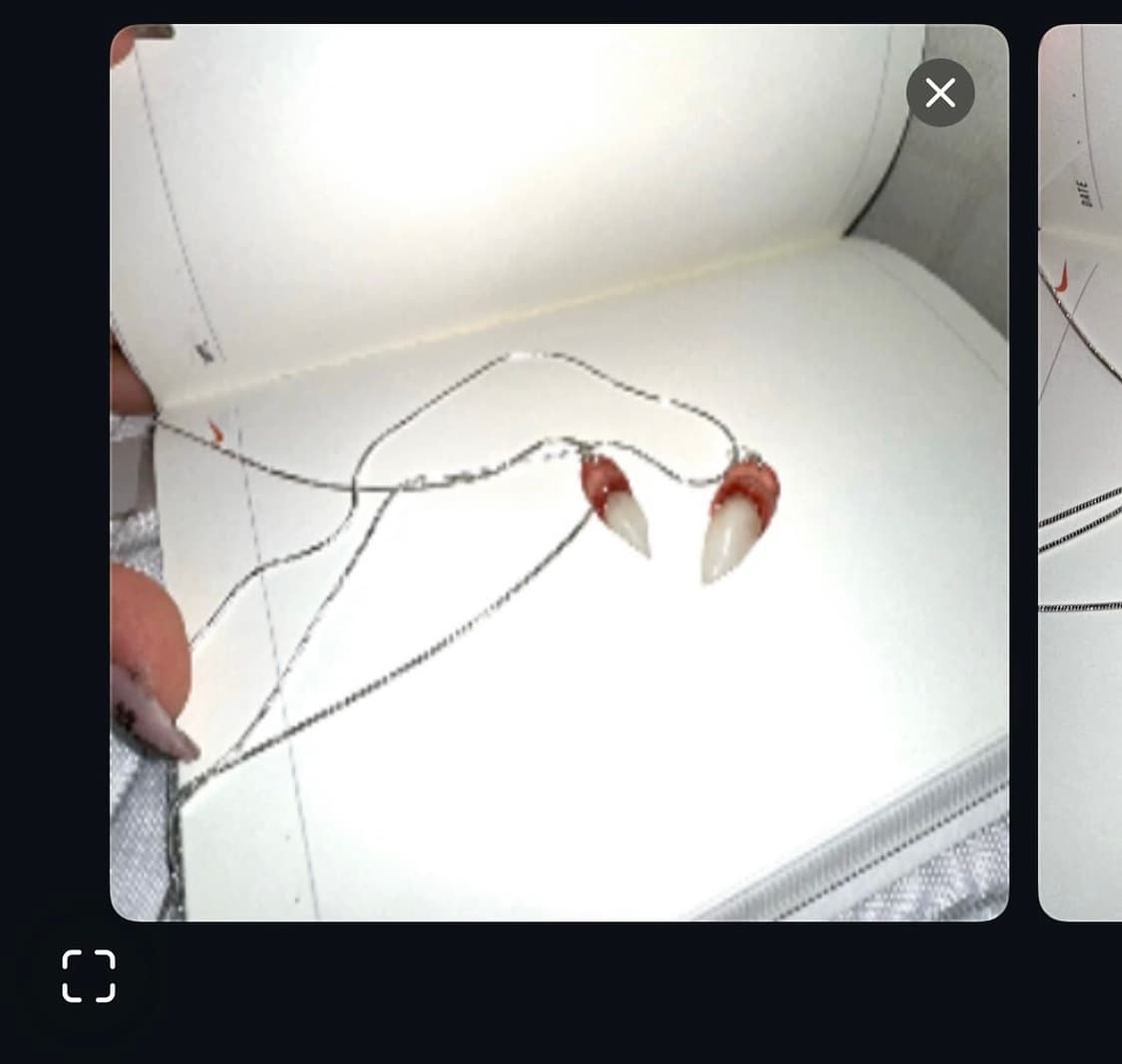 Fang Charm Necklace Sliver 925 상품이미지1