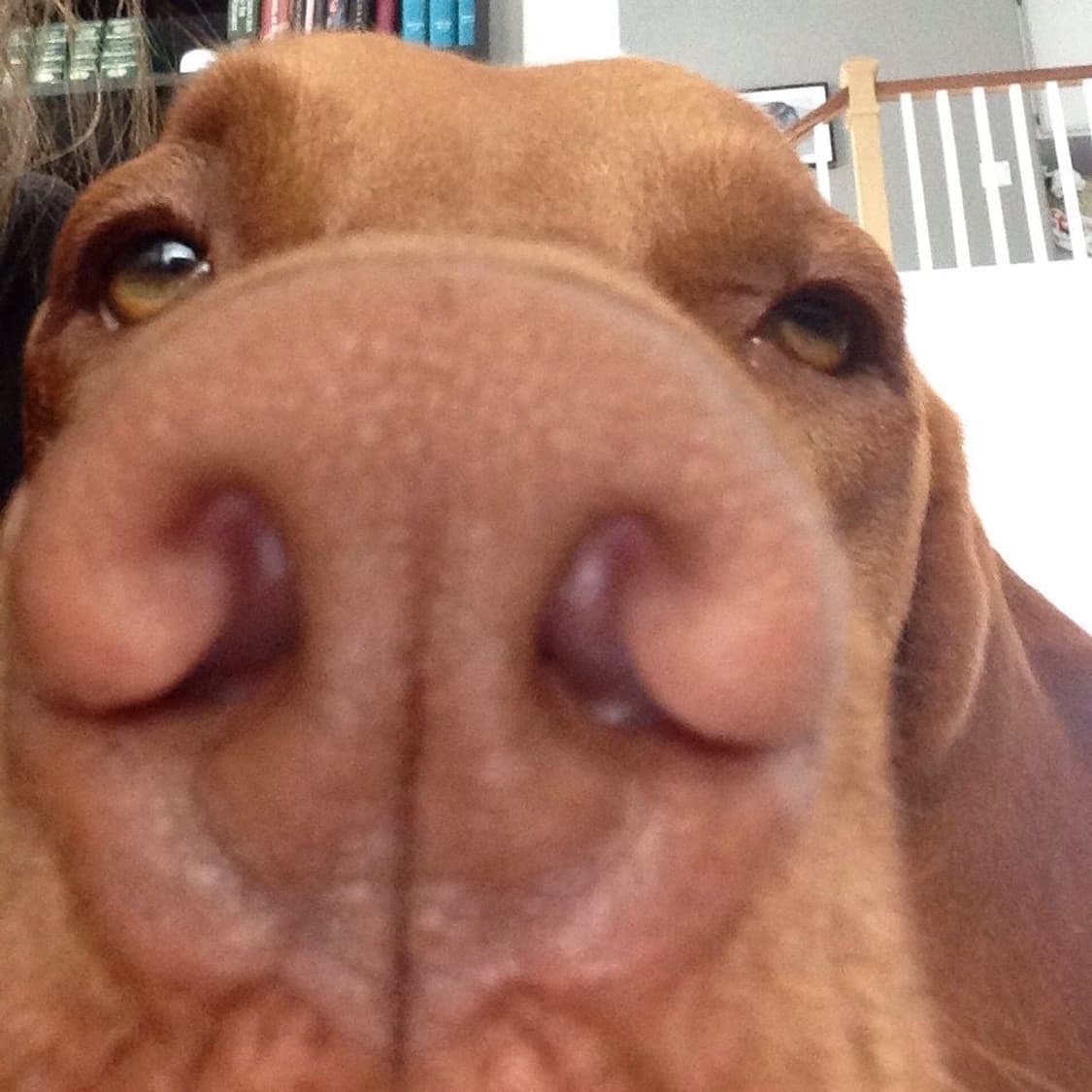 <liiiiiiu님 결제창> 상품이미지1