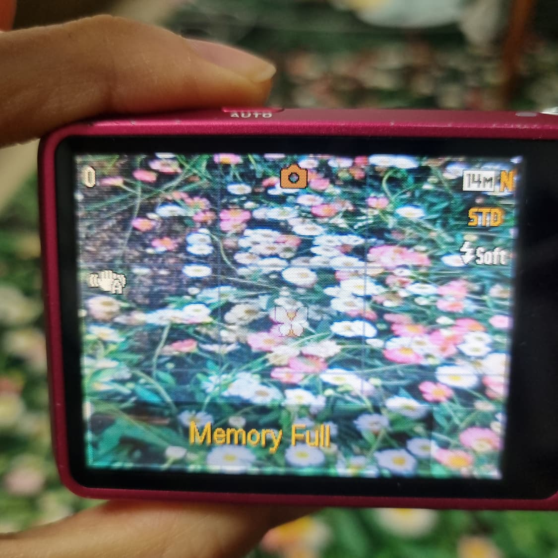 카시오 엑슬림 z800 핫핑크 상품이미지6