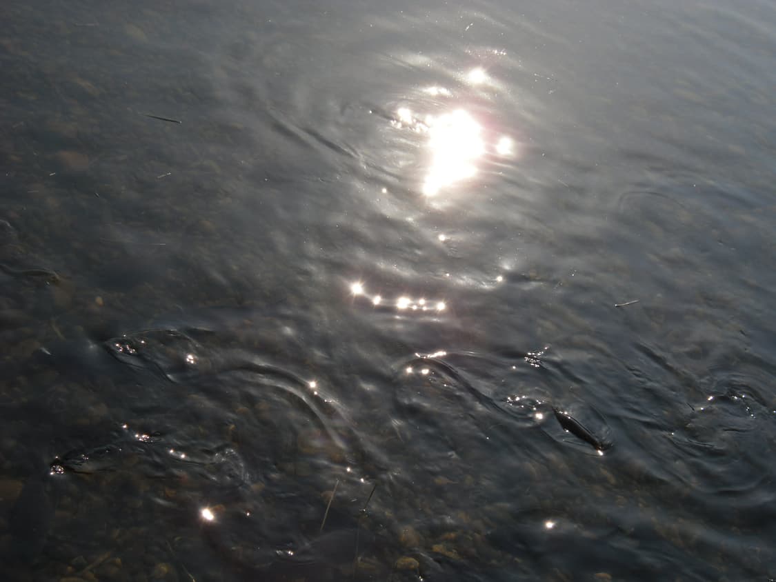 카시오 Exilim EX-Z370디카 상품이미지7