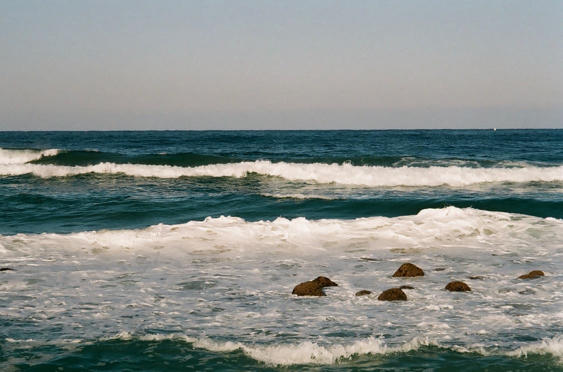 캐논 오토보이 N130 필름카메라 상품이미지5