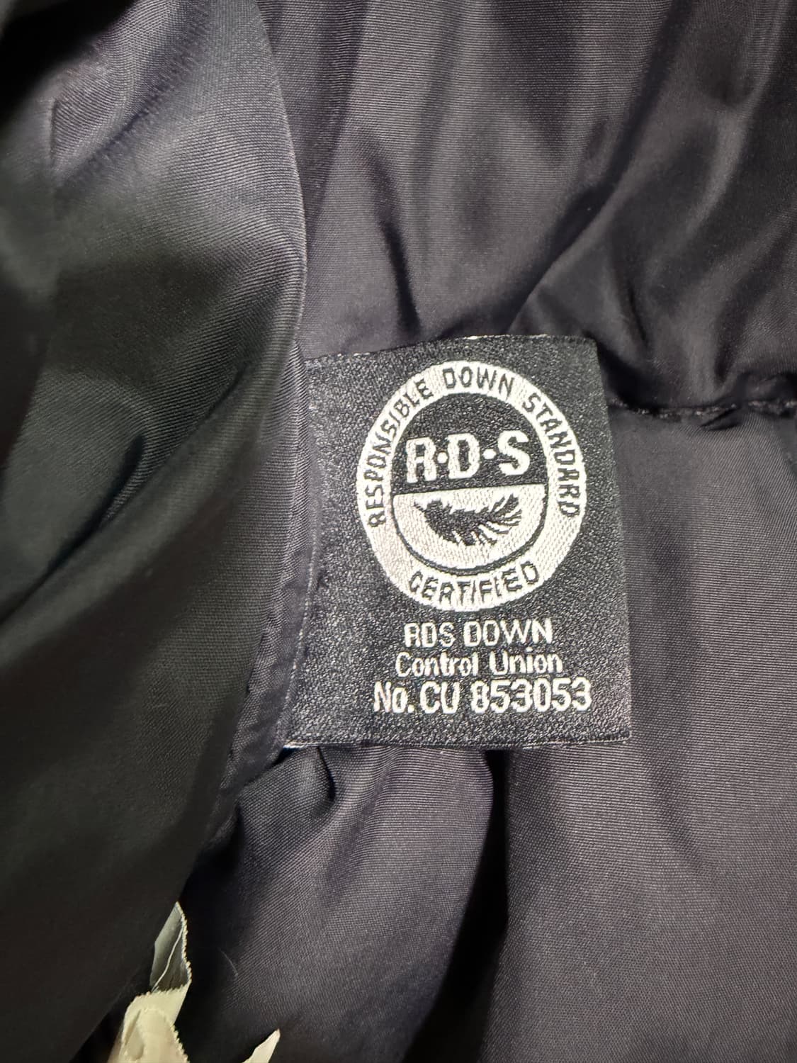 노스페이스 1996 에코 눕시 패딩 상품이미지2