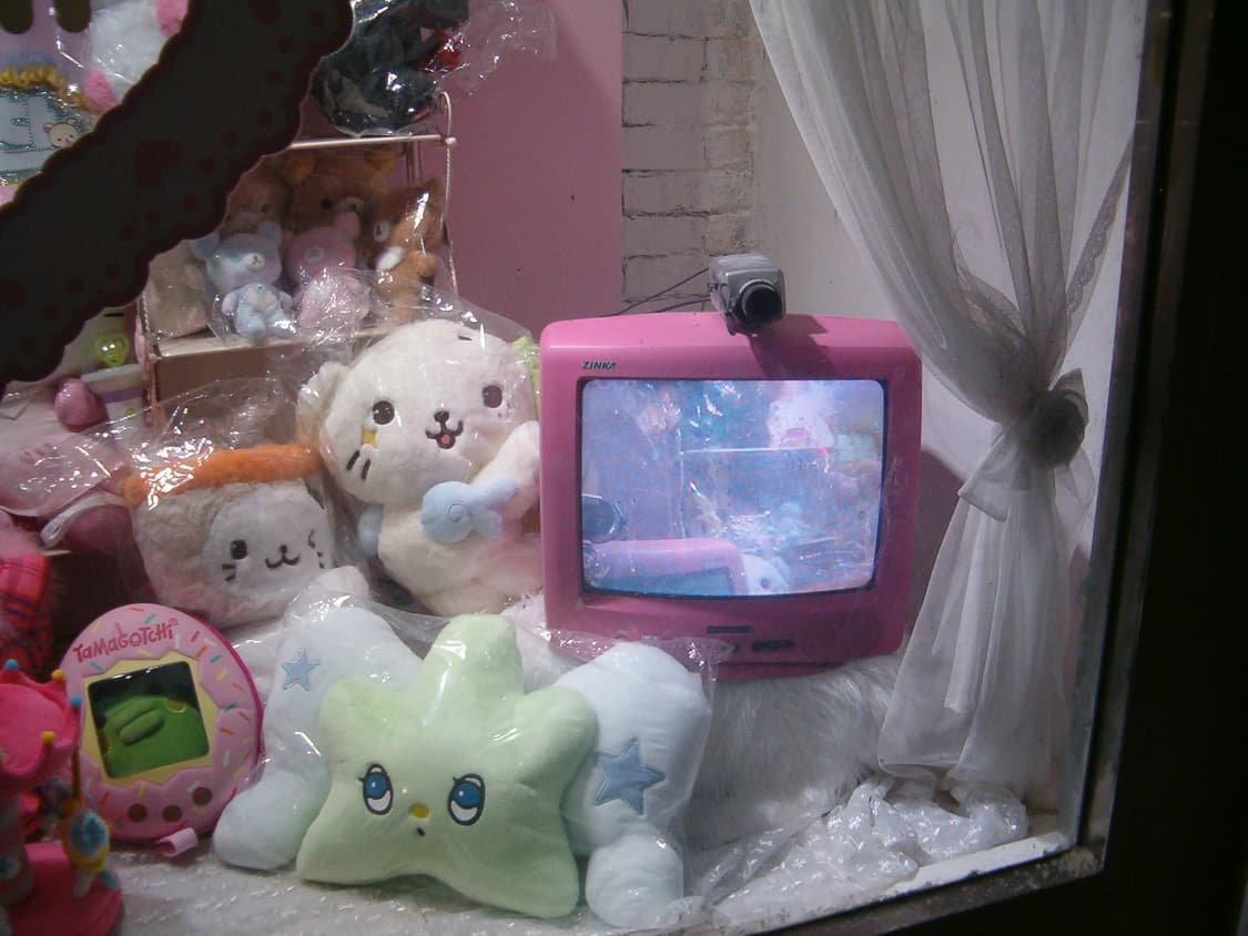 hp q2210a 디지털카메라 디카 (작례 있음!) 상품이미지9