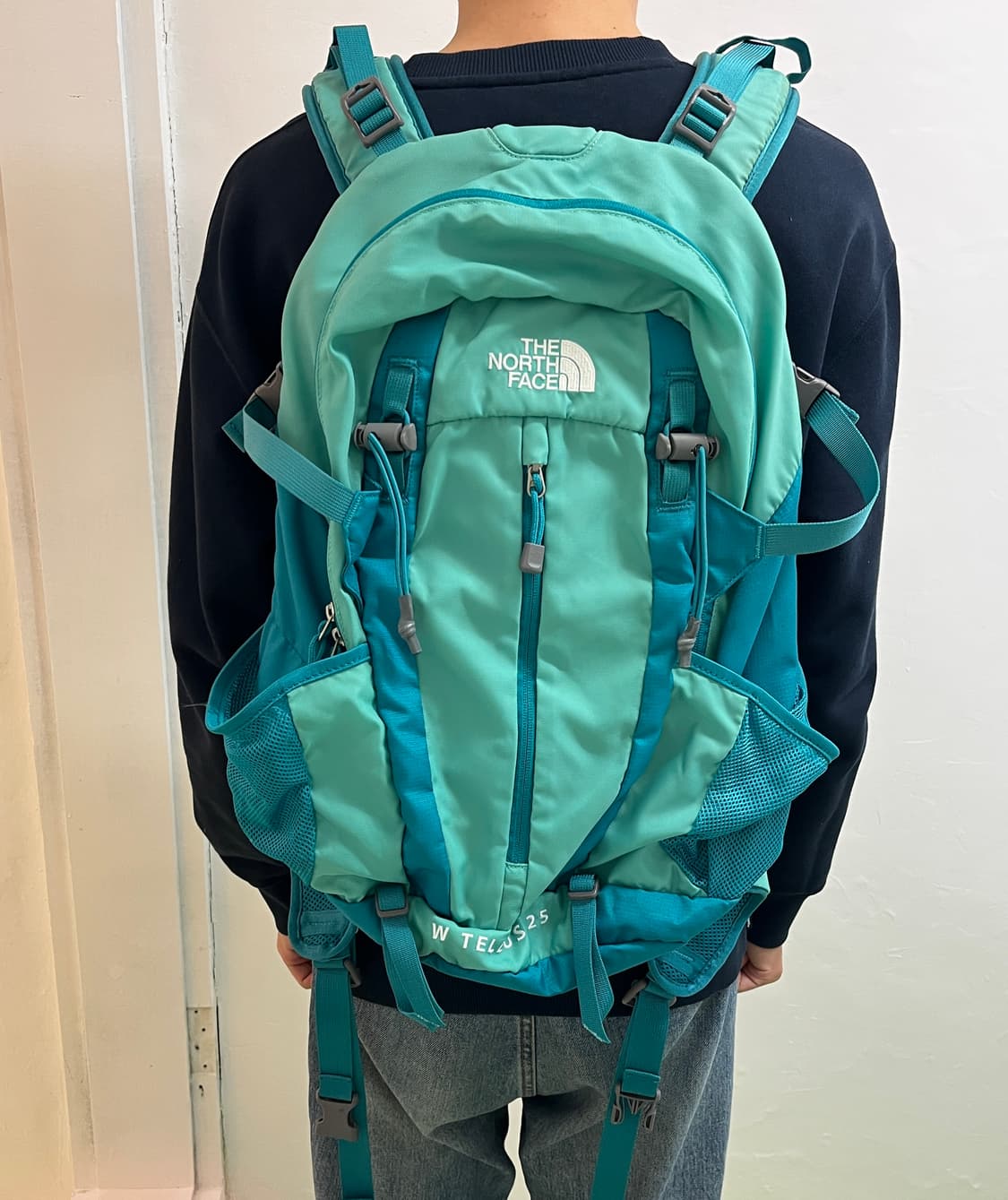한교동 노스페이스 백팩 TELLUS 25 🌀 상품이미지4