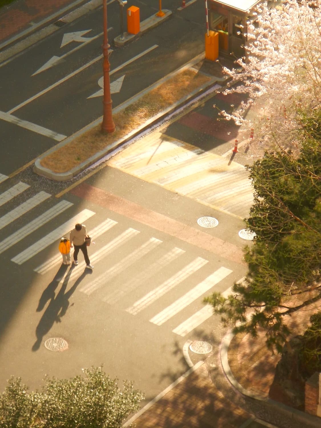 Nikon coolpix aw100 카모 상품이미지5