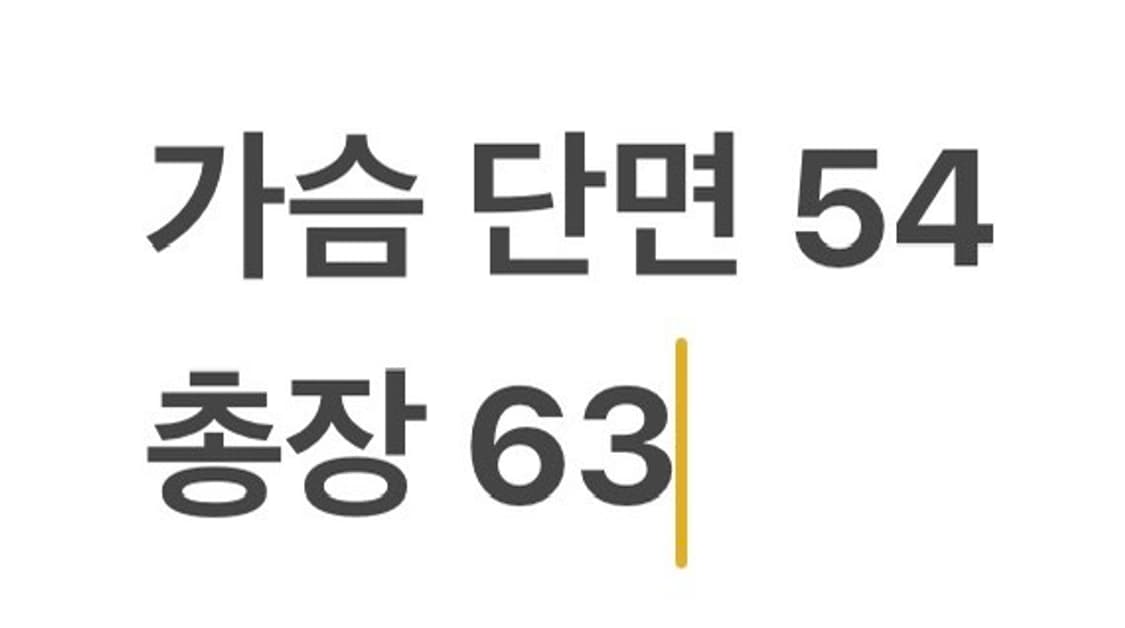 [정품/L] 노스페이스 블랙 메쉬 베스트 b12 상품이미지7