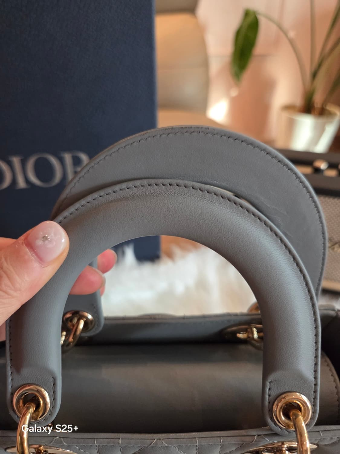 디올 레이디백 최신형 디자이너 엘레나 에디션 상품이미지7