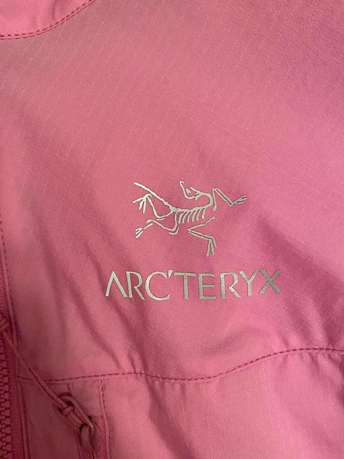 아크테릭스 스쿼미시 후디 상품이미지3