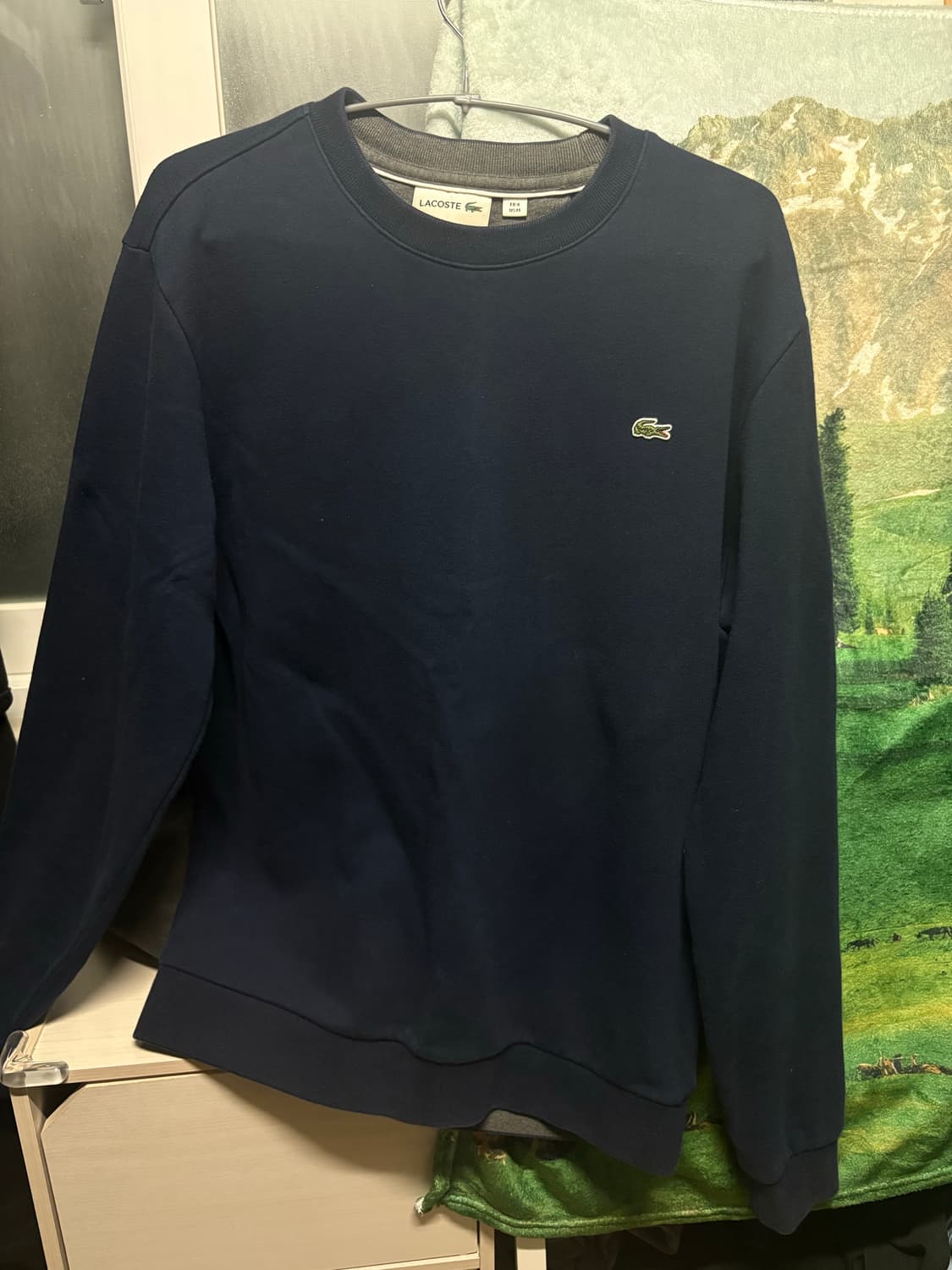 라코스테 맨투맨M 상품이미지1