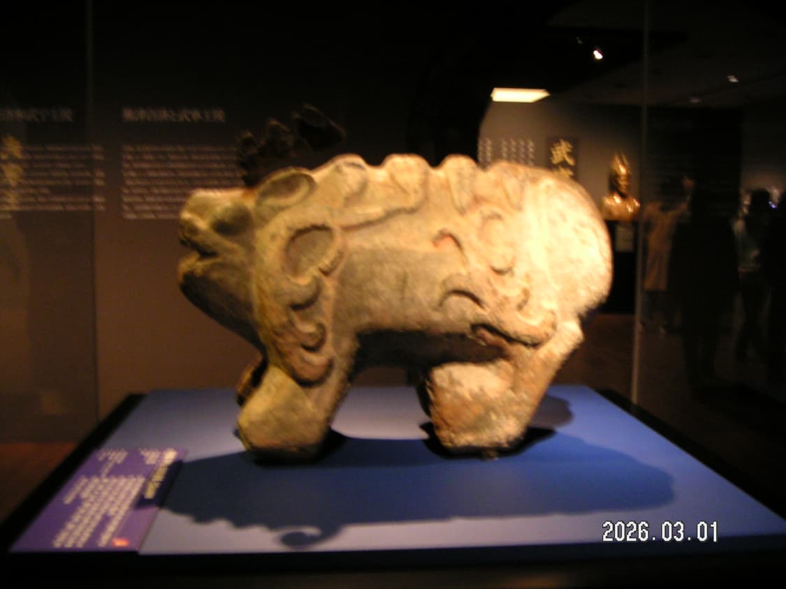 작례o) 민트급 미놀타 디미지x20 블루 상품이미지8