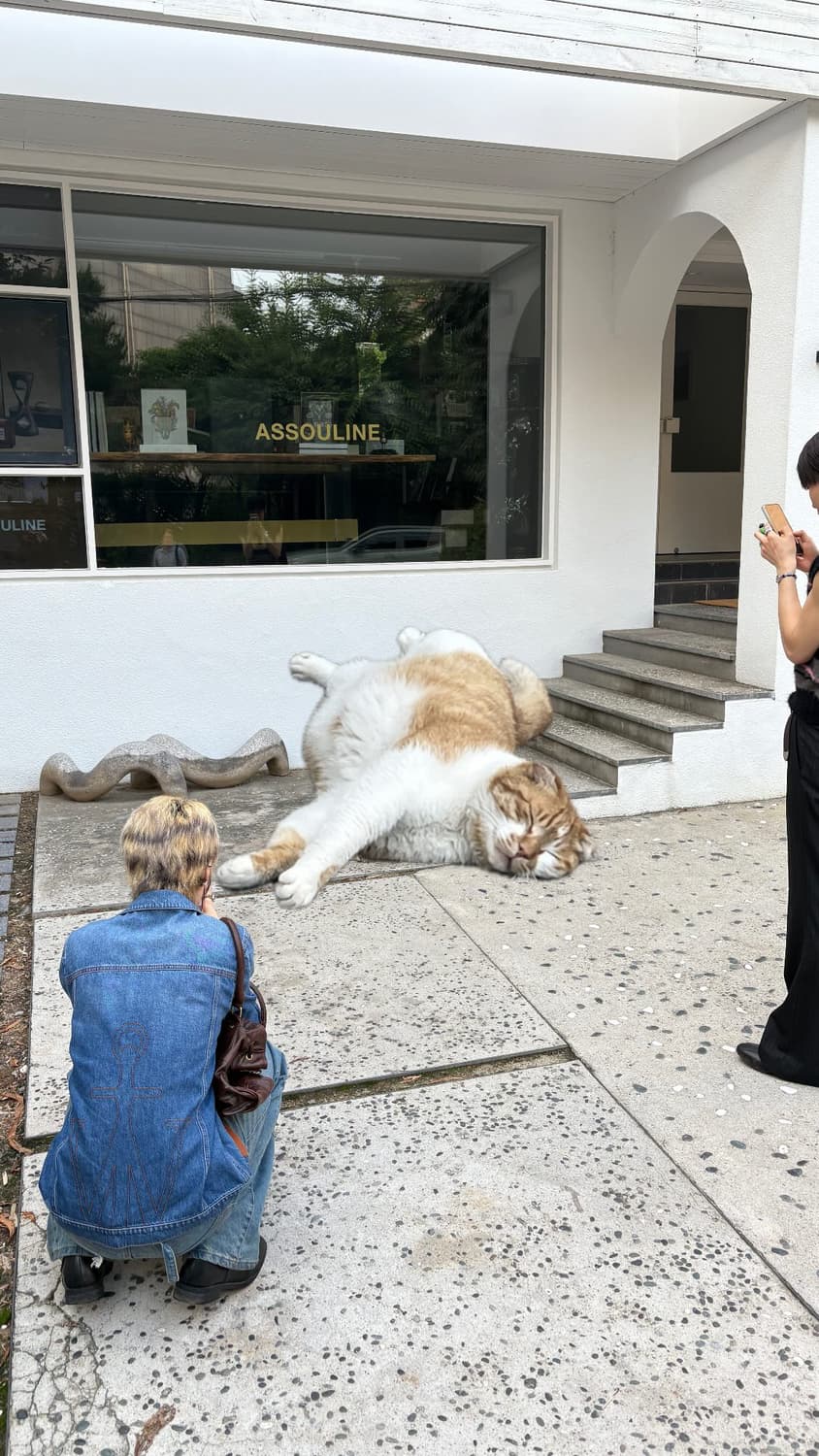 M) jw anderson 데님 자켓 상품이미지2