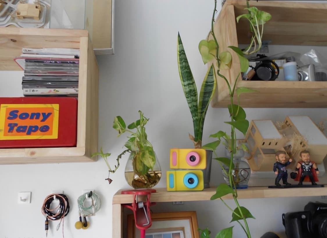 미품급💿니콘 쿨픽스 3100 ✨ 작고 가벼운 감성 똑딱이 상품이미지10