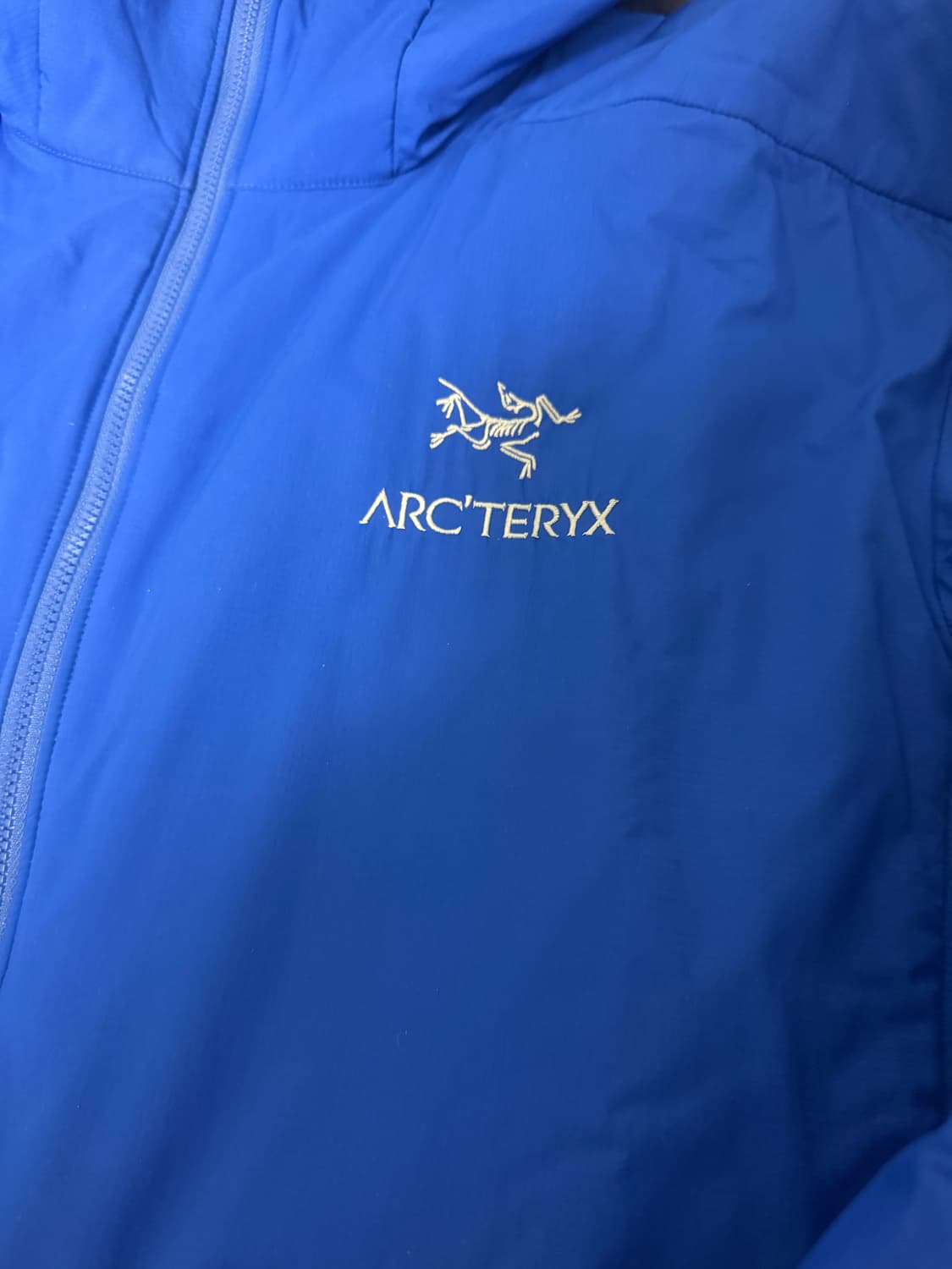 아크테릭스 아톰 후디 바이탈리티 L 상품이미지2