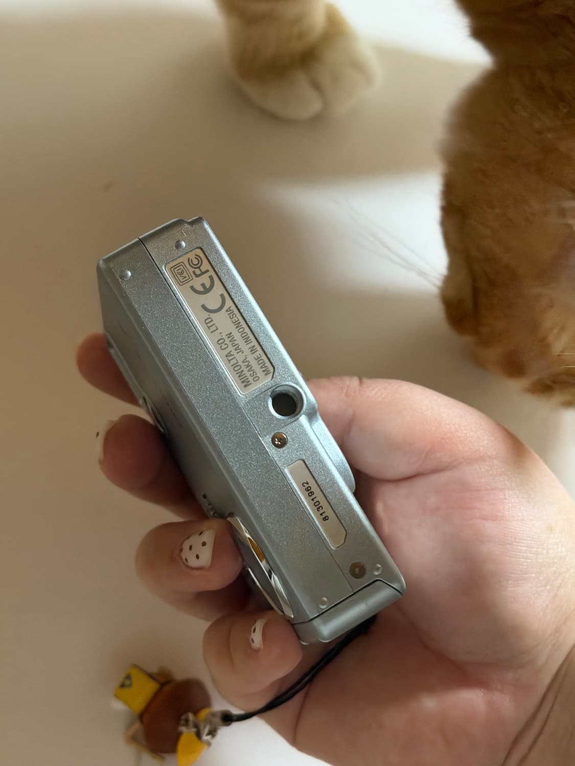 작례o) 민트급 미놀타 디미지x20 블루 상품이미지5