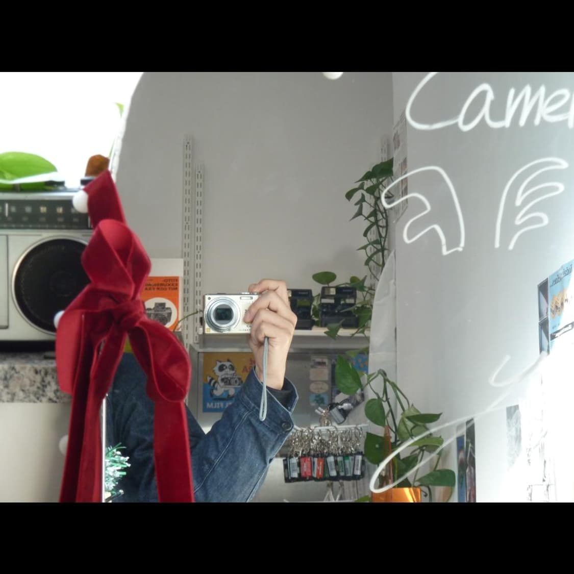 작례⭕️ 파나소닉 루믹스 DMC-TZ10 샴페인 골드🥂 전용케이스 상품이미지6