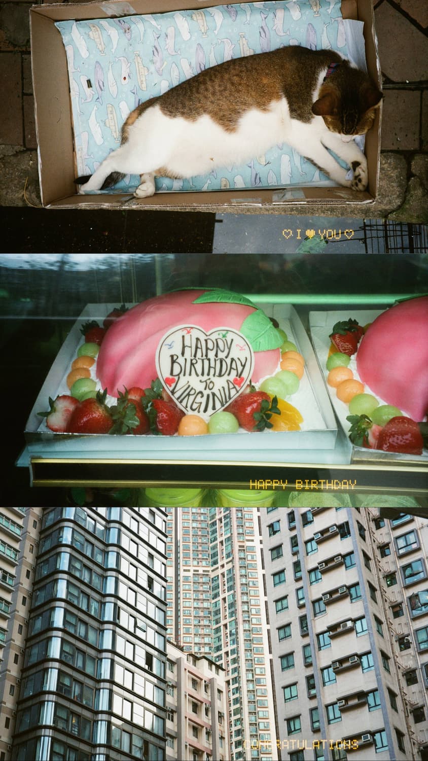 필름카메라 캐논 뉴 오토보이 상품이미지7