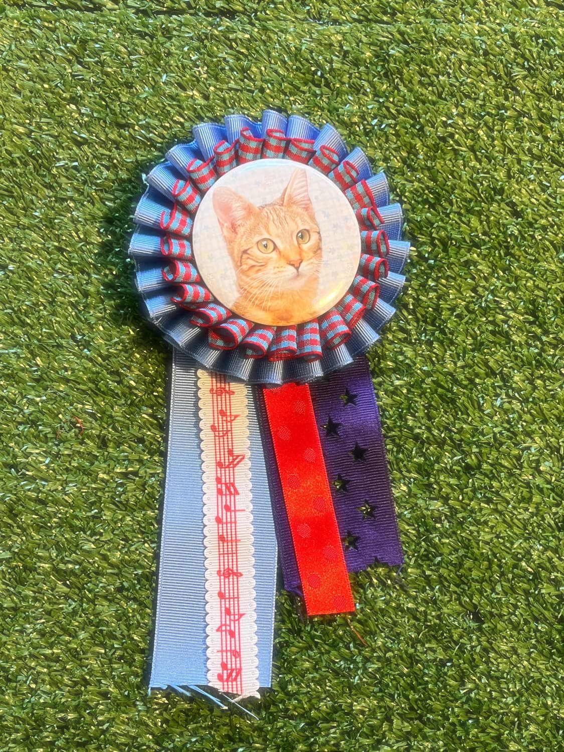 씩씩한 고양이 로제트 🐱 상품이미지1