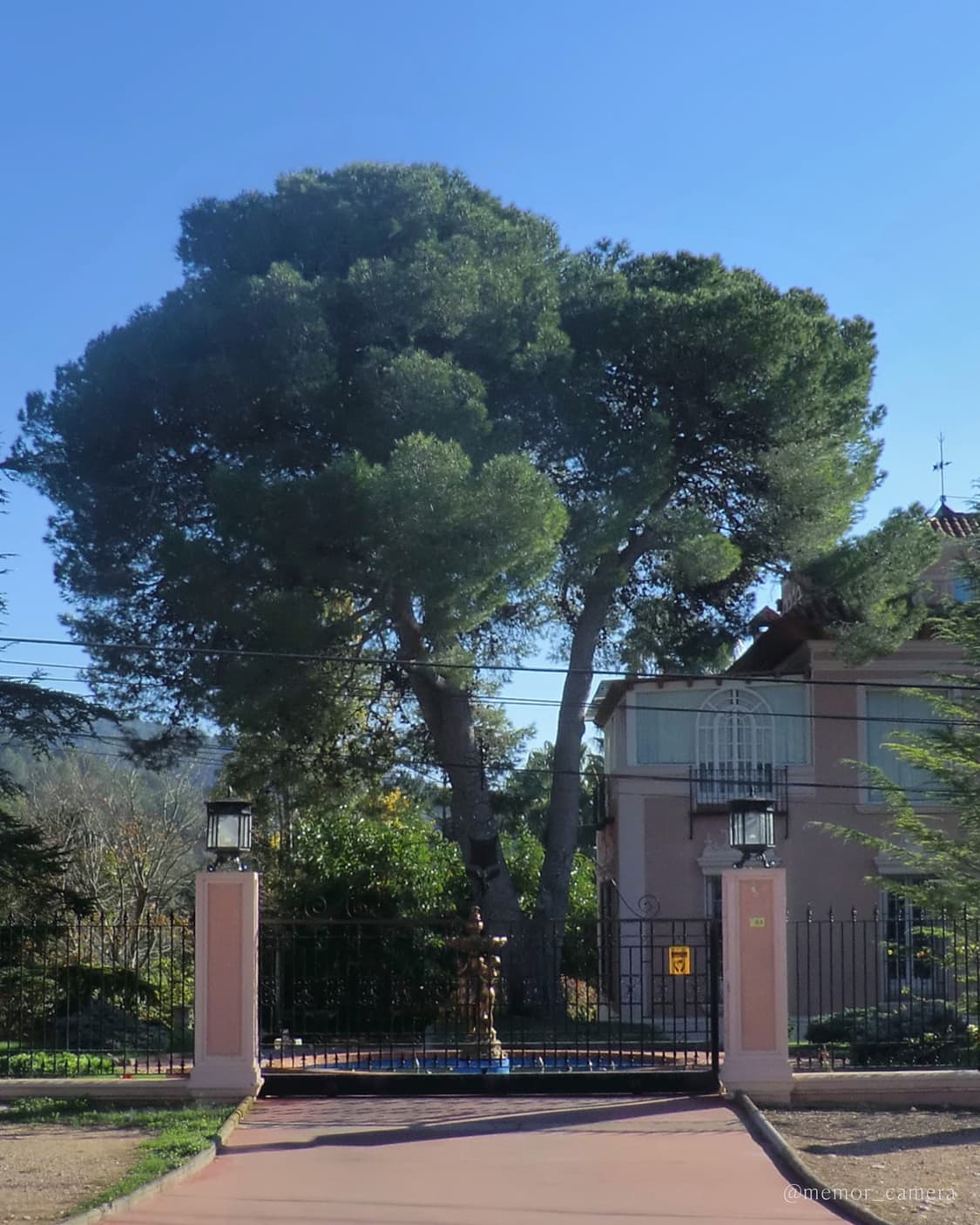 풀박스/인물사진추천,뽀용작례☁️CASIO EX-H5 카시오 디카 카메라 상품이미지7