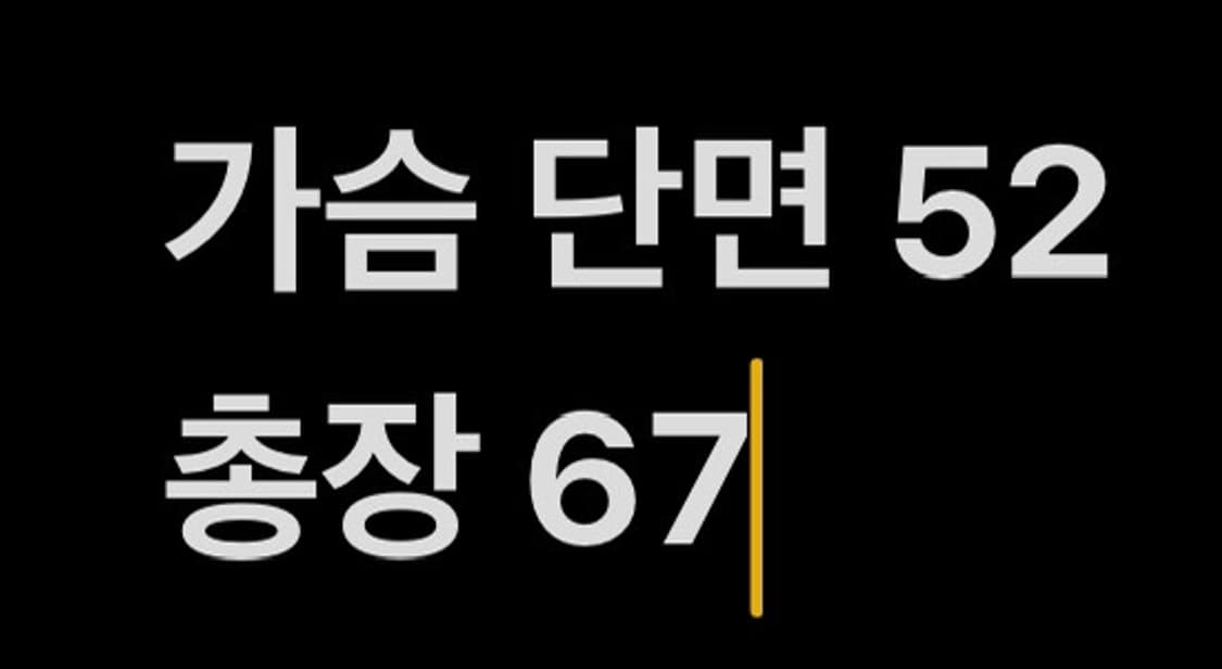 [ 정품/95 ] 아디다스 첼시 바람막이 자켓 b10 상품이미지10