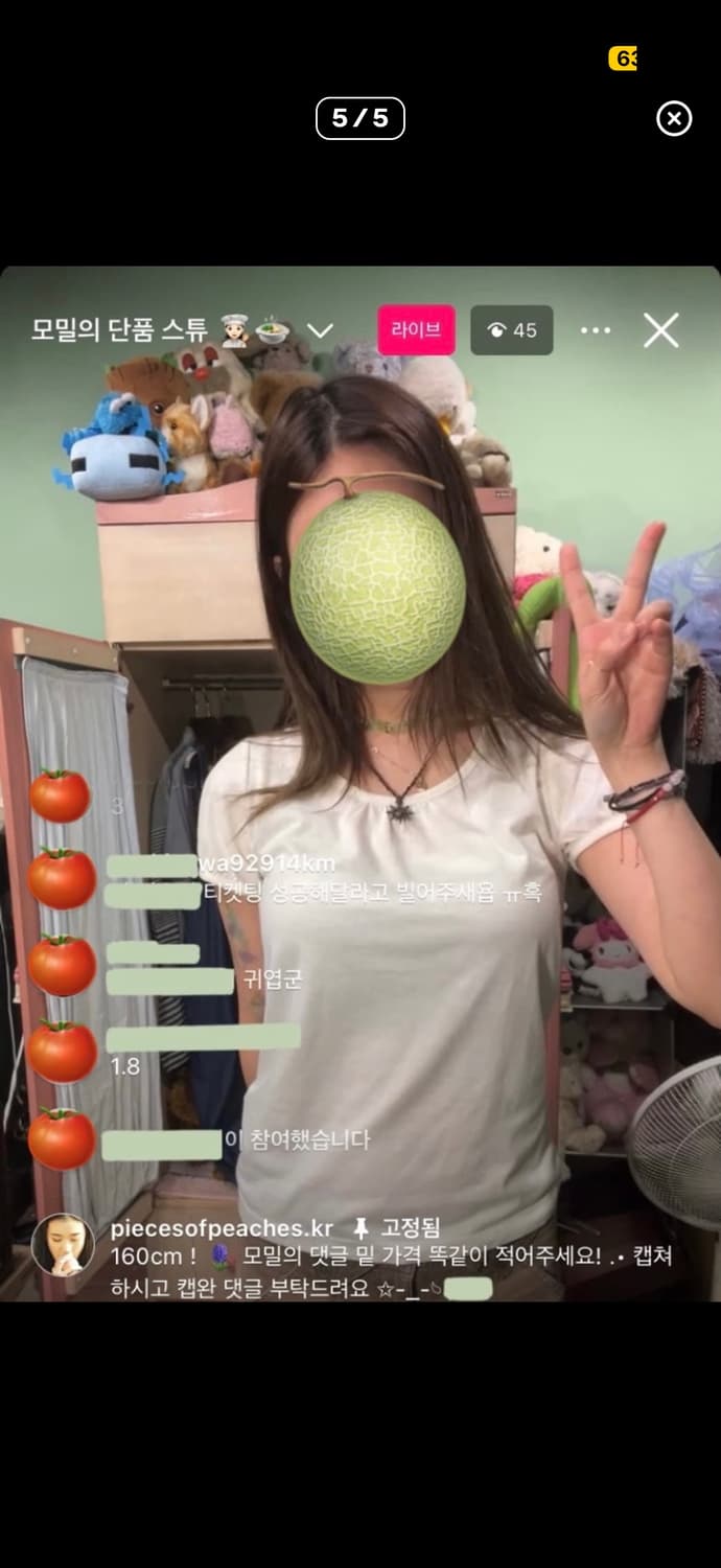 카모메산장 빈티지 반팔 선가든파티샵502파우닝133리피와이즈걸코코모리룩 상품이미지2