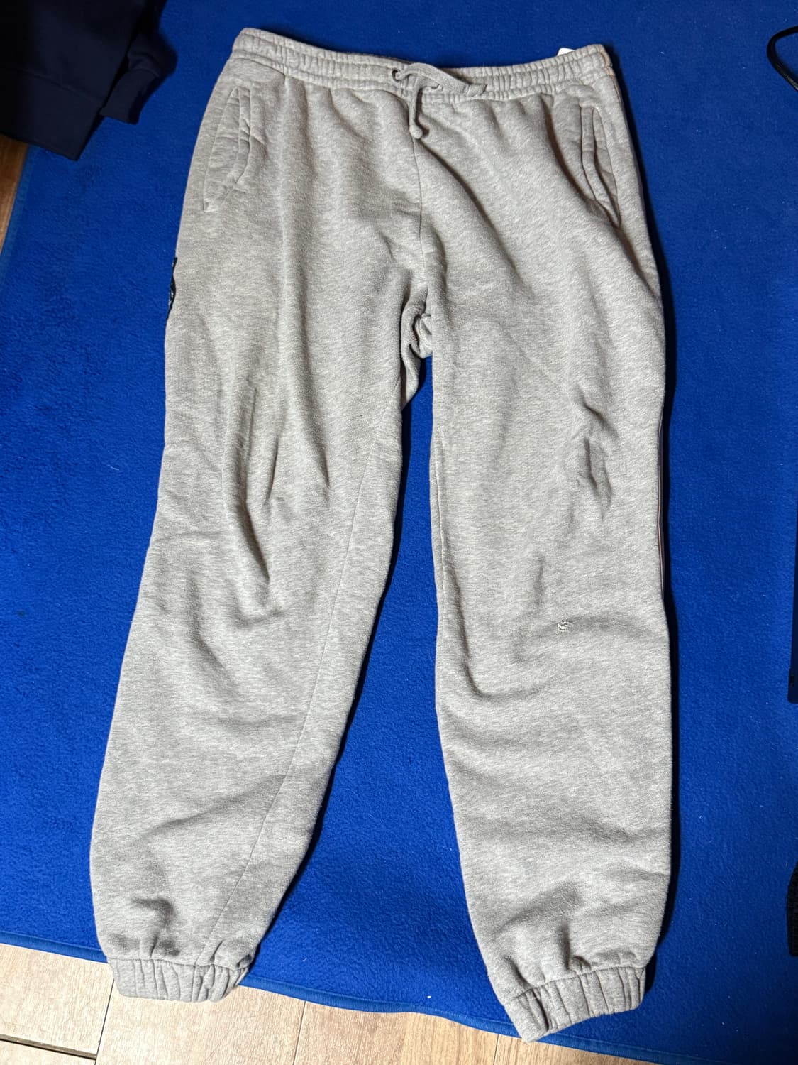 구찌 타이거 자수 조거팬츠 상품이미지7