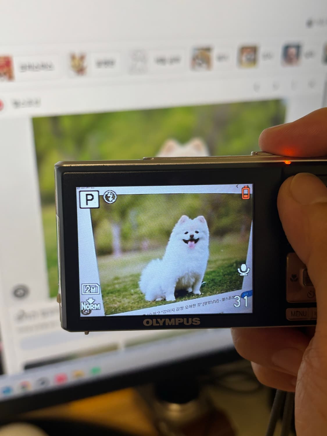 올림푸스 디지털카메라 x-895 상품이미지4